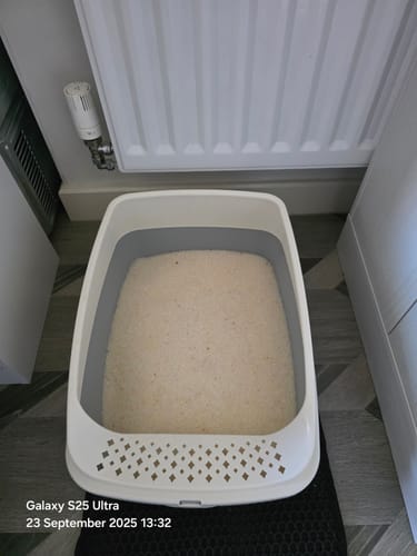 Customer photo review of 3 Month Supply - 2 Cats