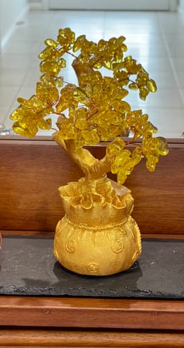 Customer photo review of Prestige Fortune – Master Xu's Feng Shui Fortune Tree