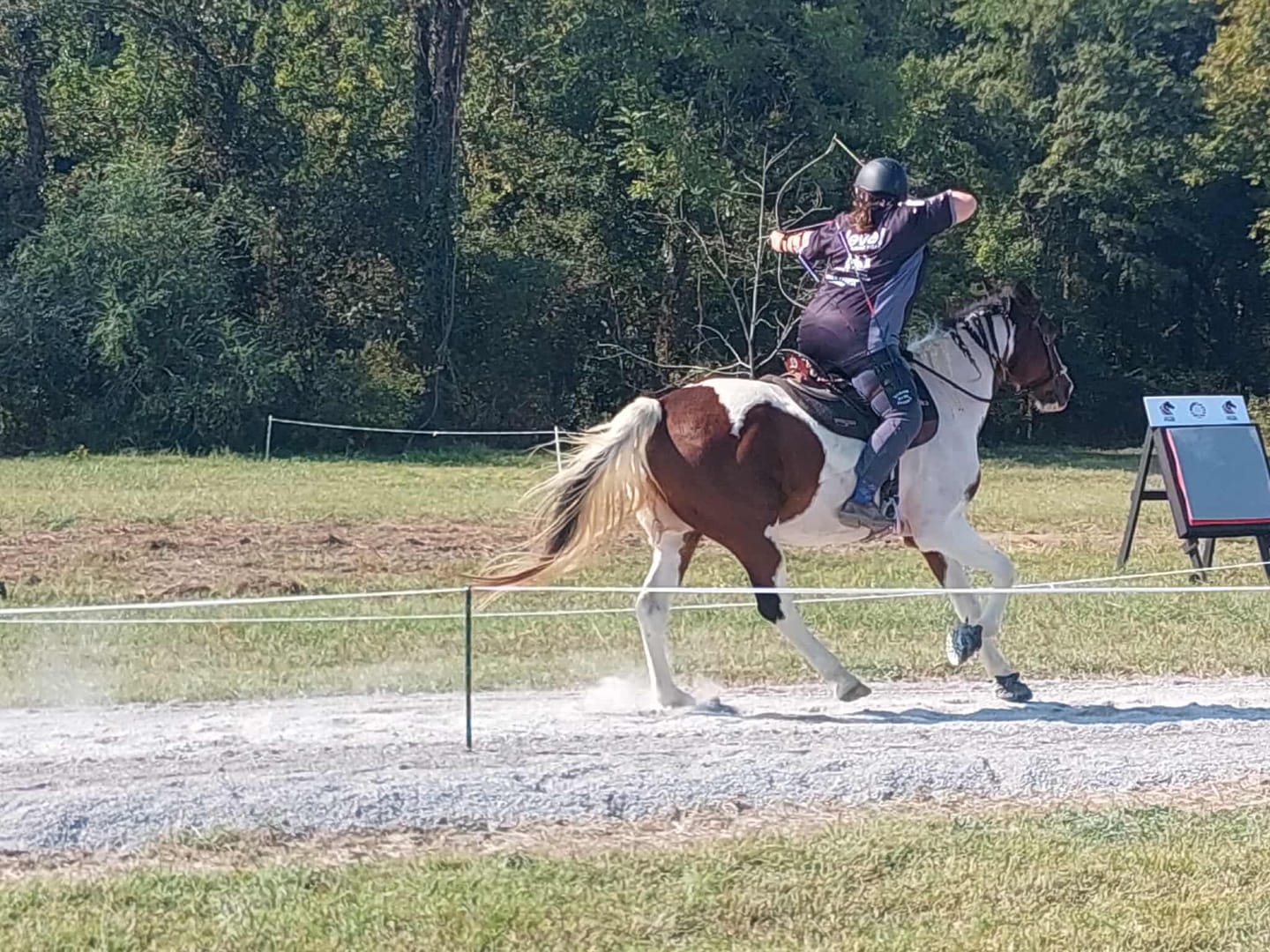 Customer photo review of Black & Grey | Performance Polo Shirt