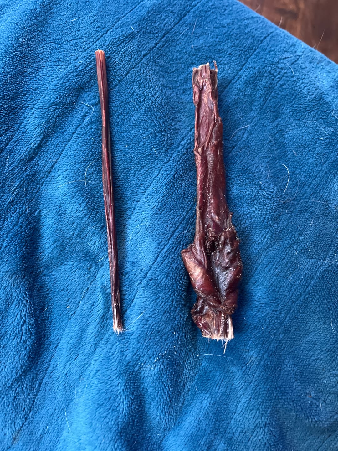Customer photo review of 6 Inch Pixie Bully Sticks
