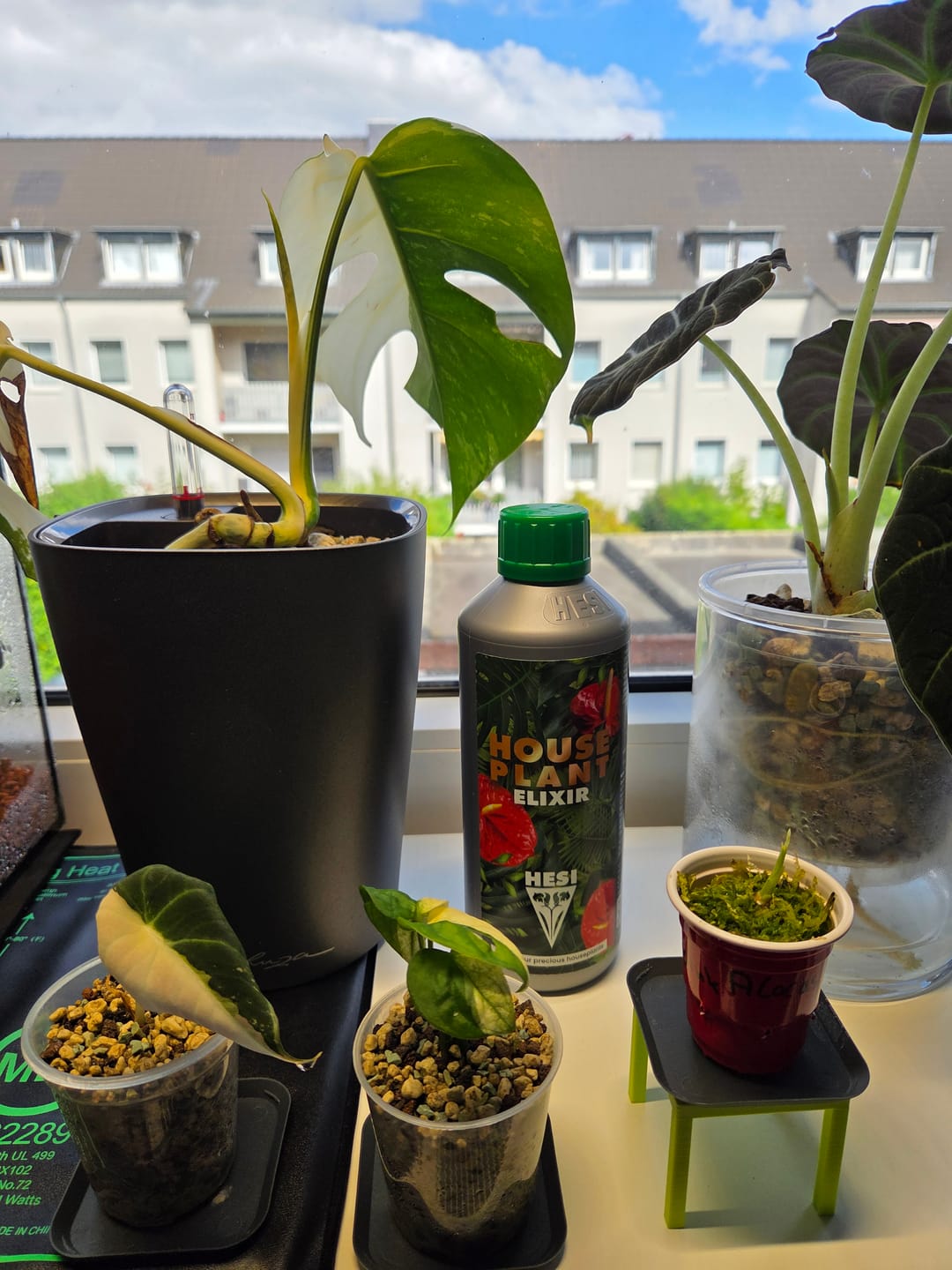 Customer photo review of HPE - Hesi Houseplant Elixir