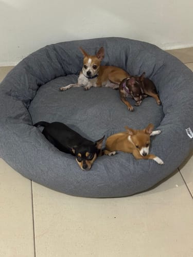 Customer photo review of Funda Original para Cama Antiestrés para Perros