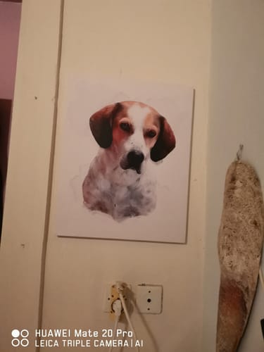 Customer photo review of Πορτραίτο Κατοικίδιου - Νερομπογιά