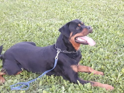 undefined review of Relax Time image 1 out of 1