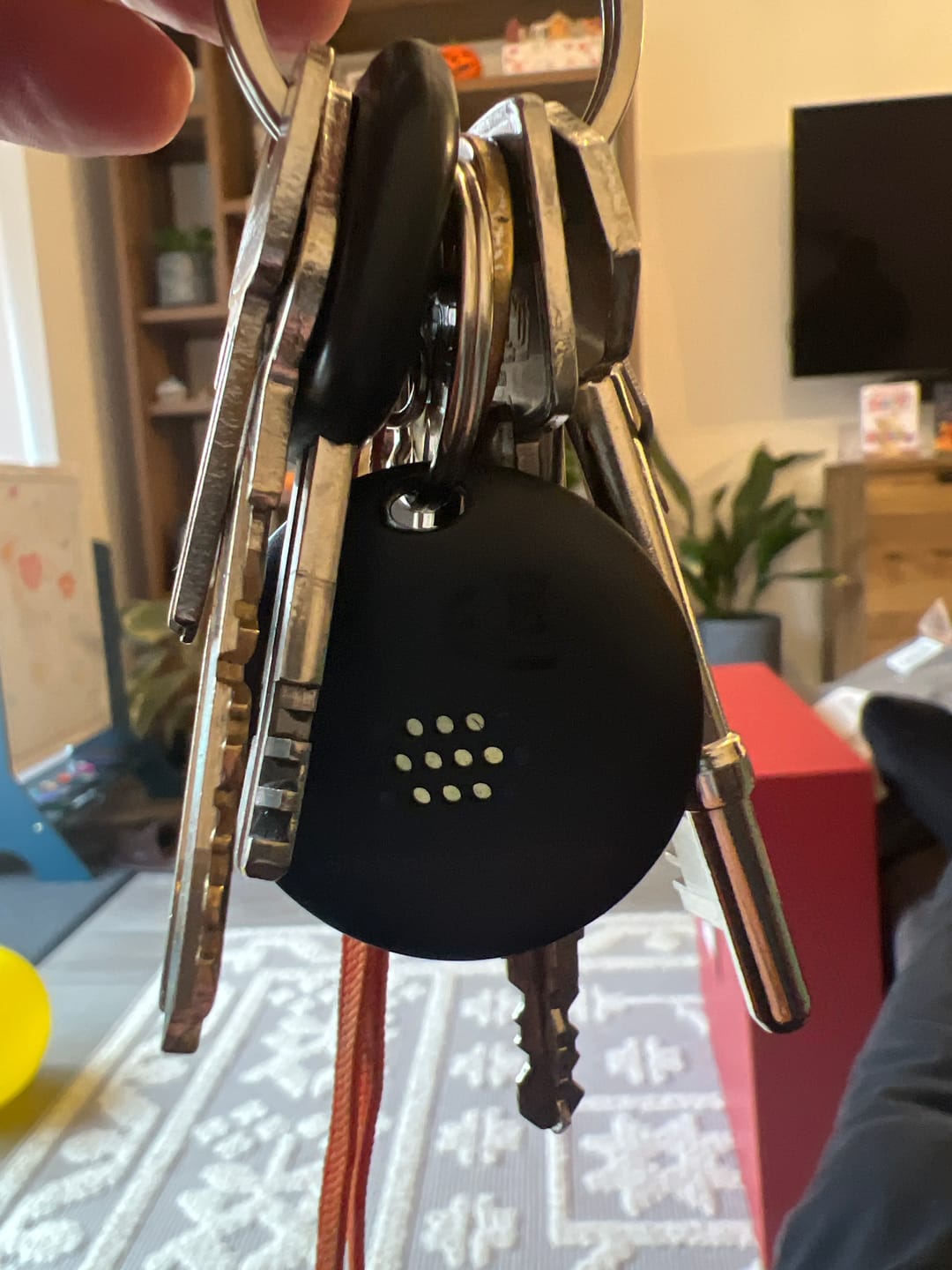 Customer photo review of SmartTag