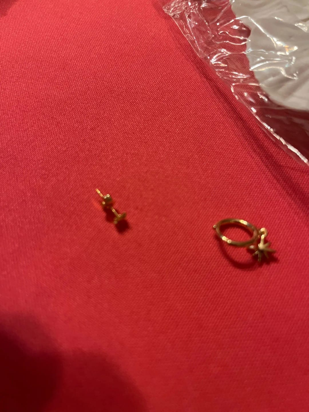 Customer photo review of Stellar Spark Earrings