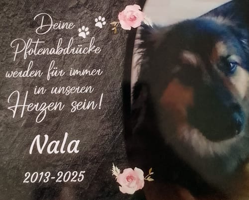 Customer photo review of Hunde Gedenktafel mit Foto & Spruch (UV- &  Wetterfest)