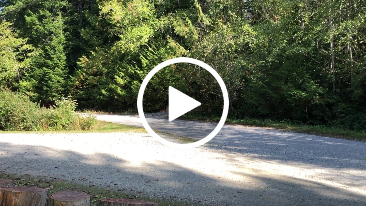 Customer video review of FD Eden Step-thru Electric Bike