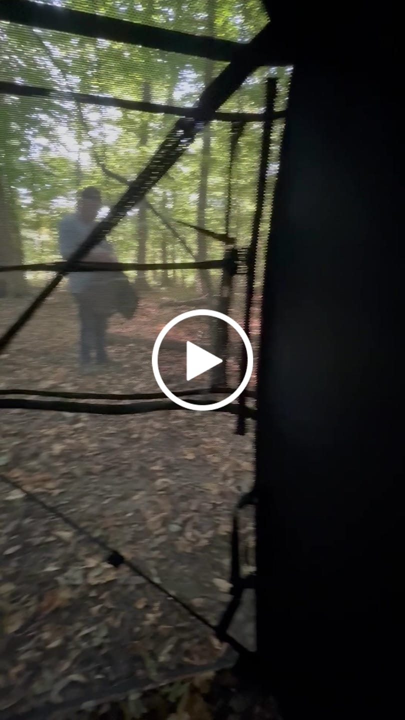 Customer video review of Vis Series See Through Hunting Blind, Pop Up Ground Deer Blind