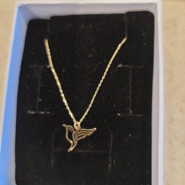 Customer photo review of Hummingbird Necklace – Gold Vermeil on Sterling Silver Dainty Charm
