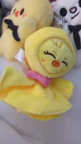 Customer photo review of Kpop Keychain Doll Pendant