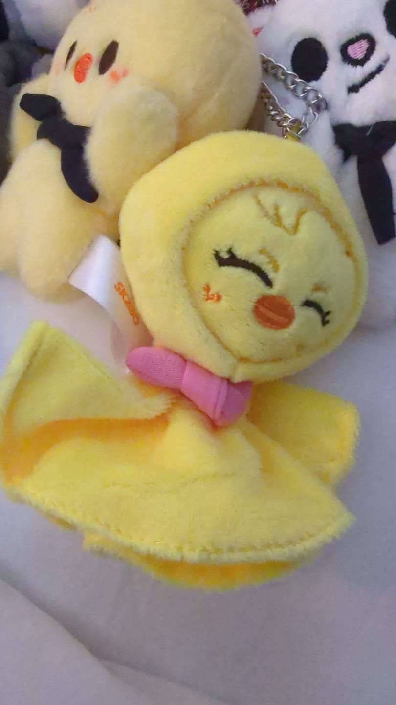 Customer photo review of Kpop Keychain Doll Pendant