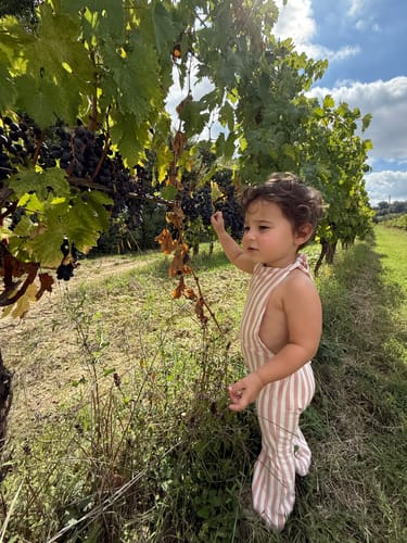 Customer photo review of Free returns or store credit