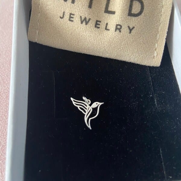 Customer photo review of Hummingbird Necklace – Gold Vermeil on Sterling Silver Dainty Charm