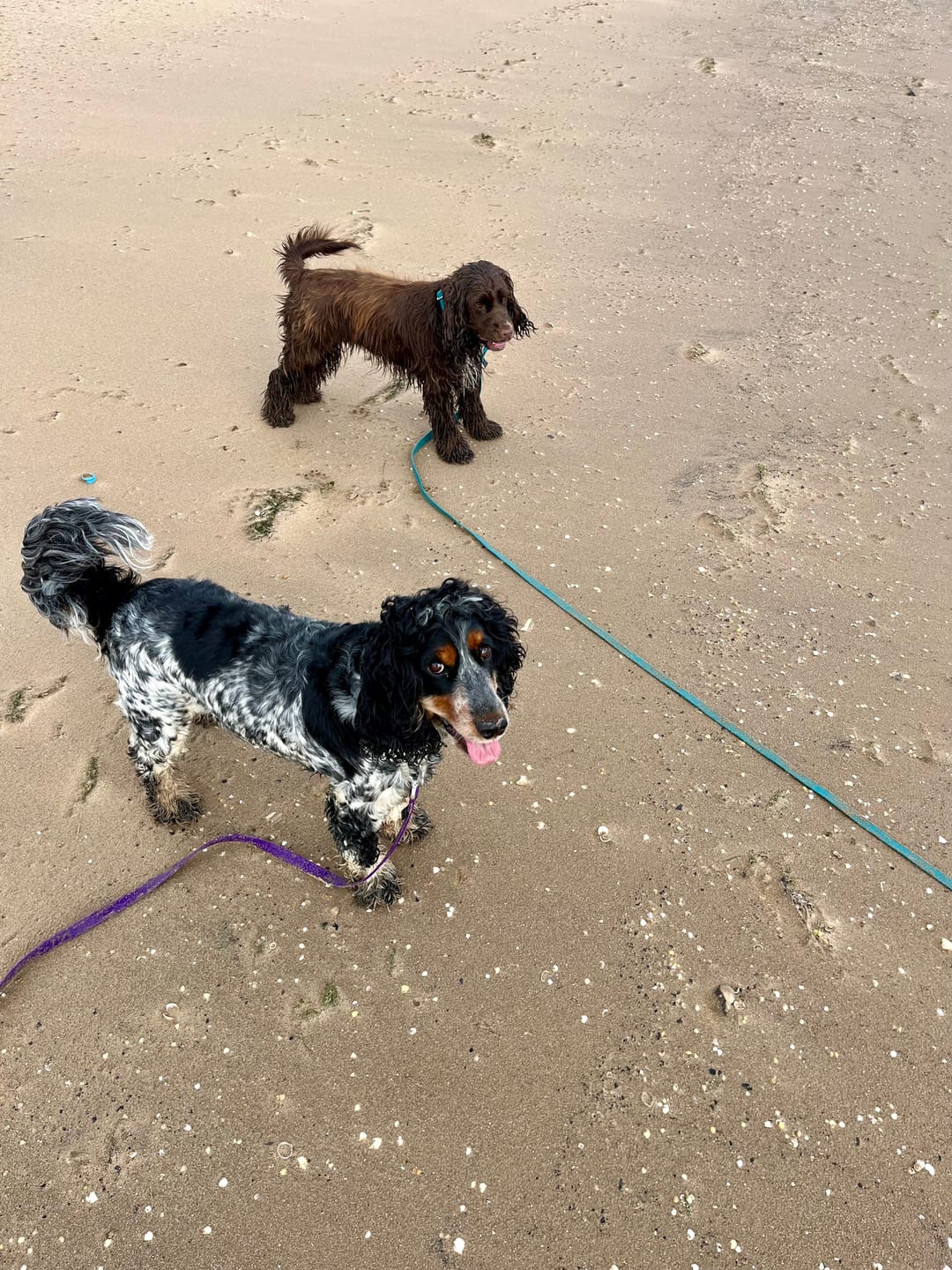 Customer photo review of Tidal Waterproof Longline