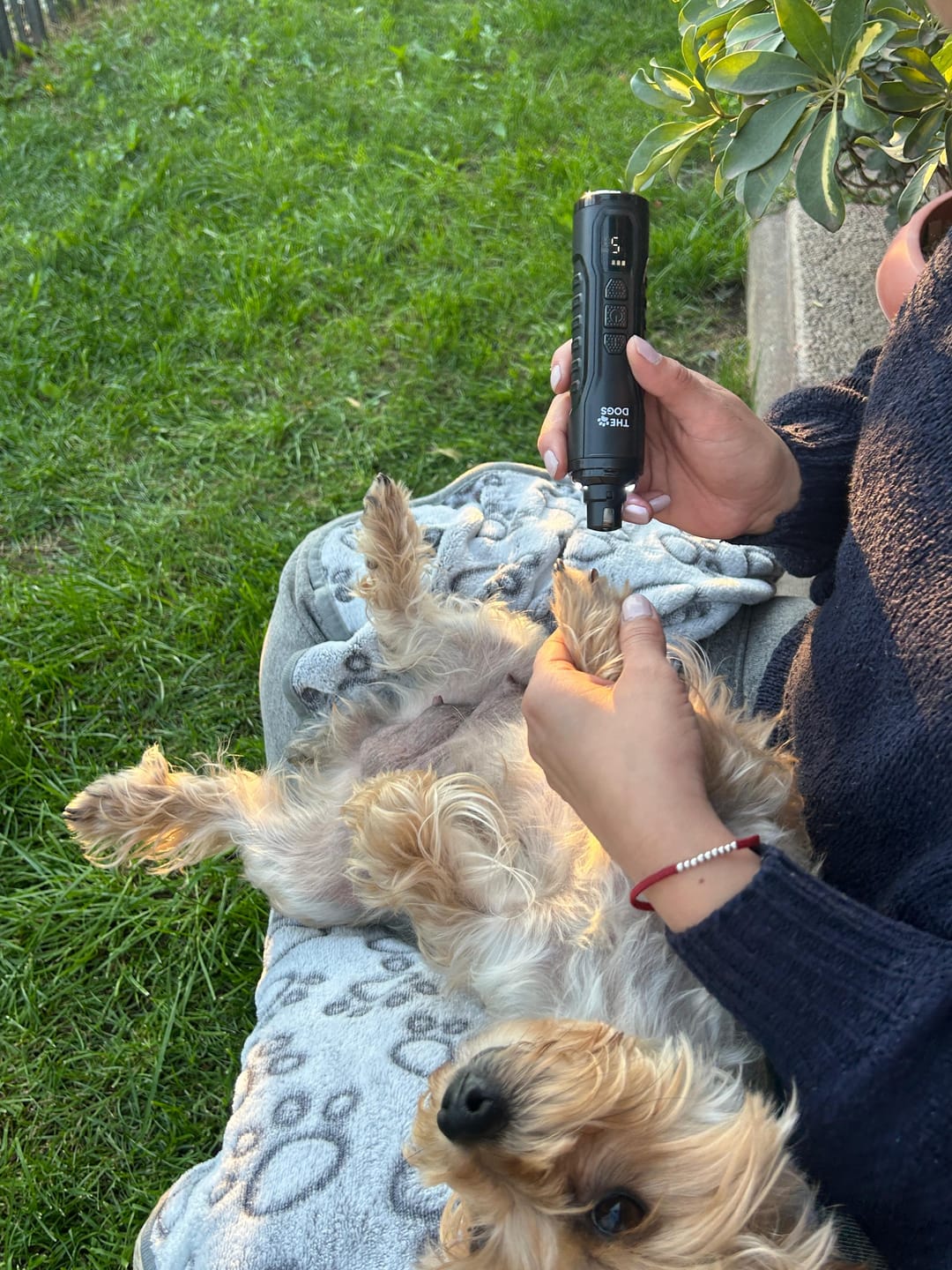 Customer photo review of THE DOGS NAILS — Limador Diamond Pro