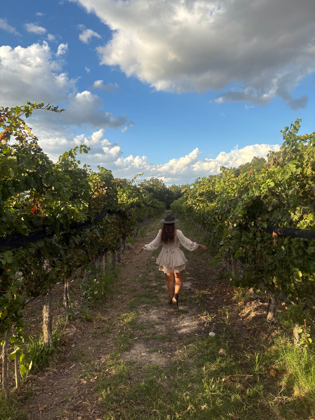 Customer photo review of Crea Tu Vino