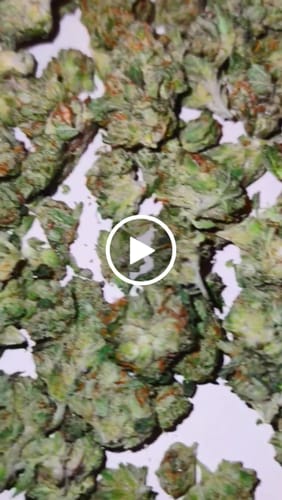 Customer video review of Tahoe OG - 14 Grams Littles - Indica