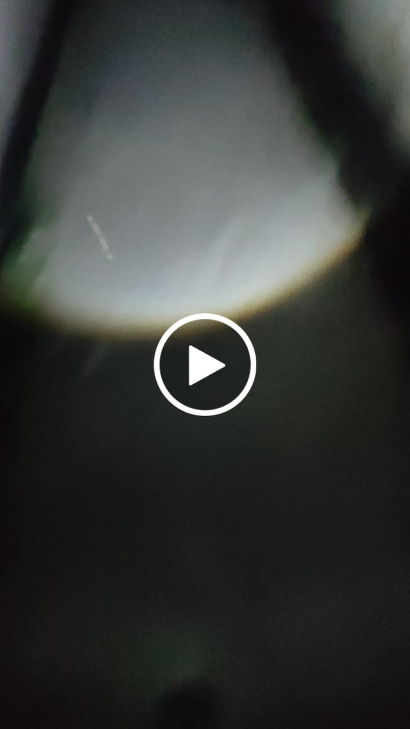 Customer video review of Lot Imported Coba USB Rechargeable Flashlight