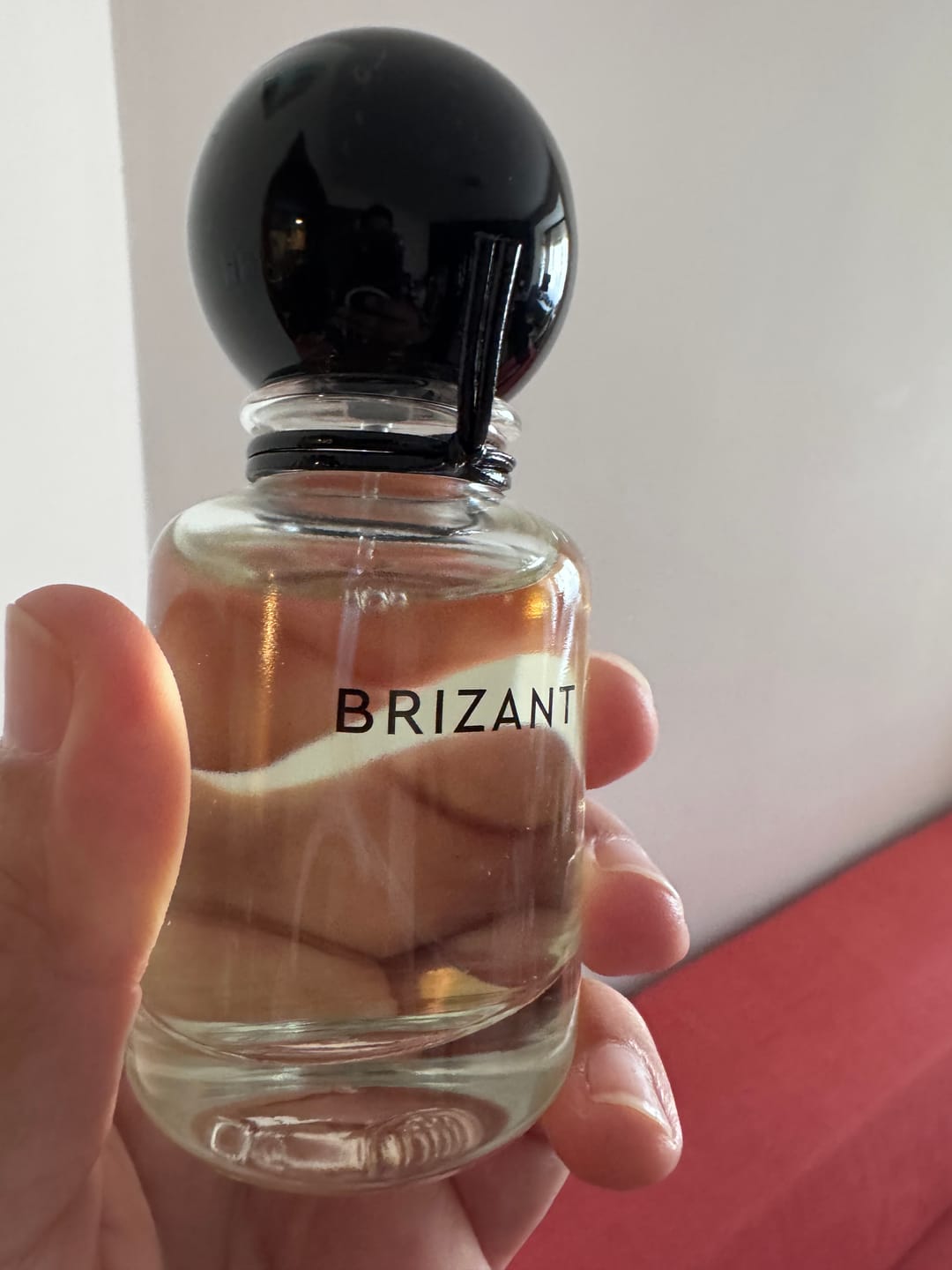 Customer photo review of Miraj Brizant