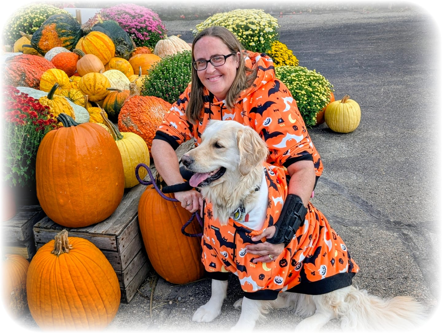 Customer photo review of Halloween Dog Hoodie - Orange