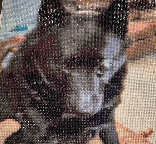 Customer photo review of Eigen Foto Diamond Painting