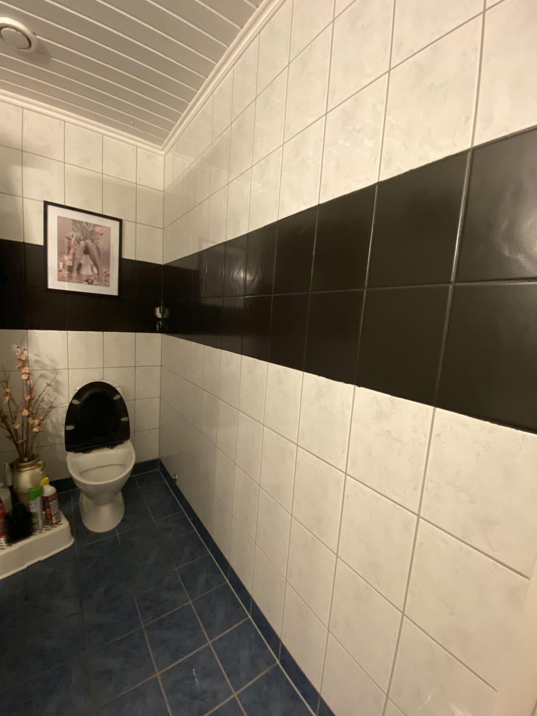 Customer photo review of Mikrosement kontaktplast
