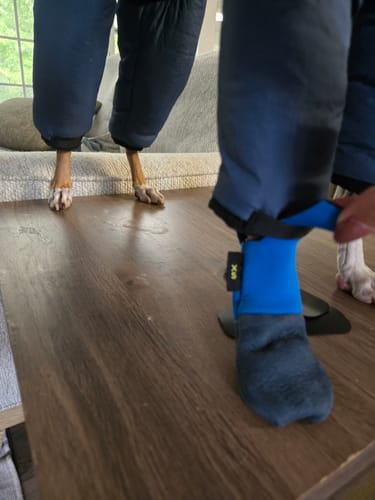 Customer photo review of All Weather Dog Booties - Doccasins - 1 pair