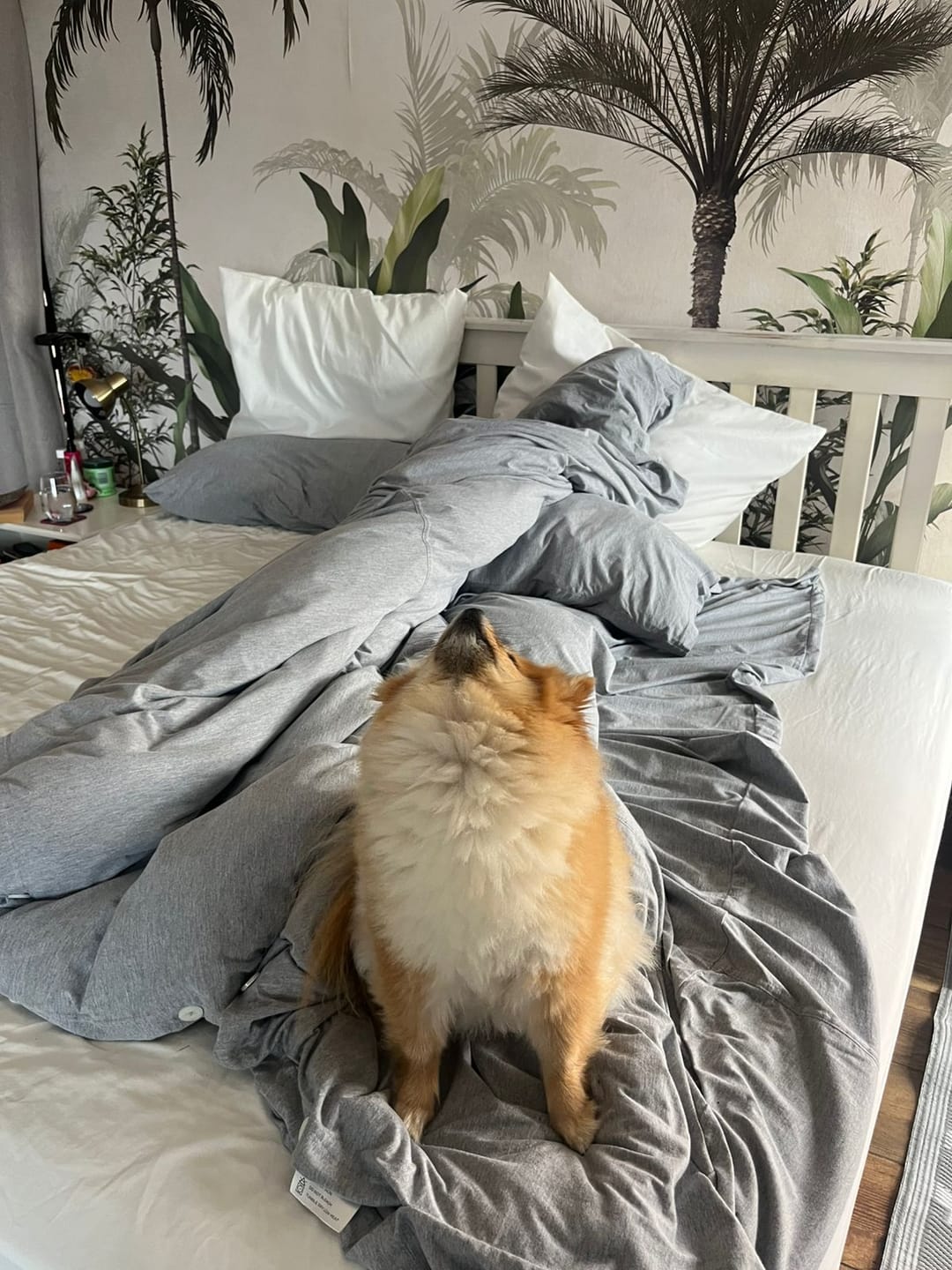 Customer photo review of Duvet Cover Set - Soft Grey