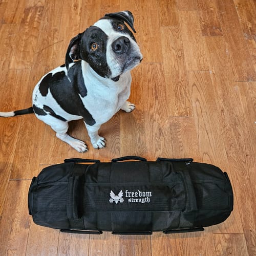 Customer photo review of Training Sandbag