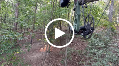 Customer video review of 2.0in 150g Stainless Steel Broadheads