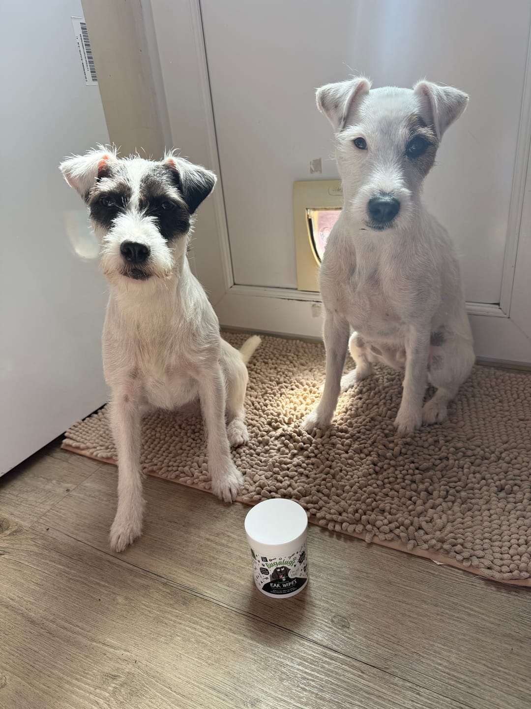 Customer photo review of Soothing Ear Wipes for Dogs 100 Pre-soaked & Biodegradable Wipes