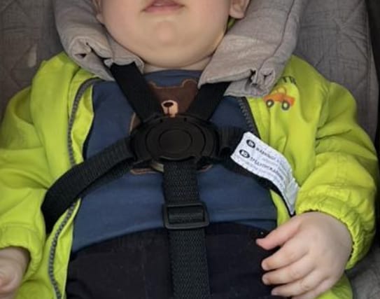 Customer photo review of Little Bear Applique Organic Short Sleeve T-Shirt