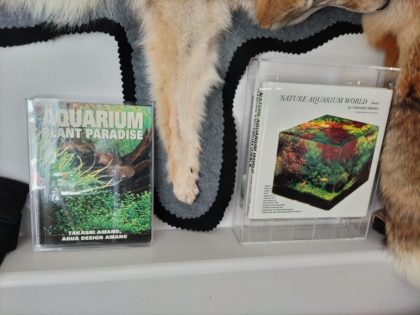 Customer photo review of Acrylic Book Display Cases