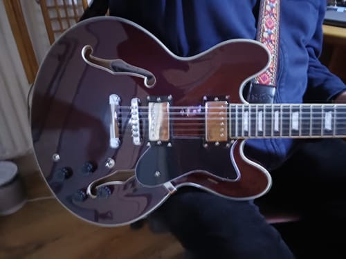 Customer photo review of Donner DJP-1000 Jazz E-Gitarre