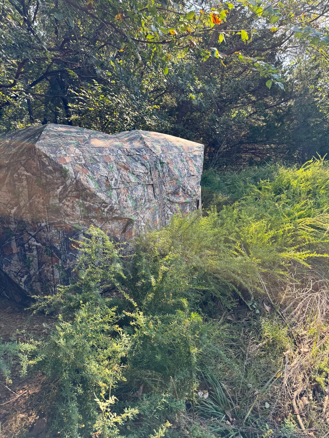 Customer photo review of Tidewe VisTrilogy See-Through Pop-Up Hunting Ground Blind for Deer, Turkey (4-6 Person)