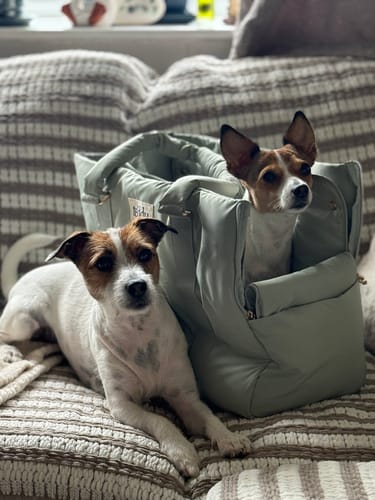 Customer photo review of Matcha┃The Puffer Carrier