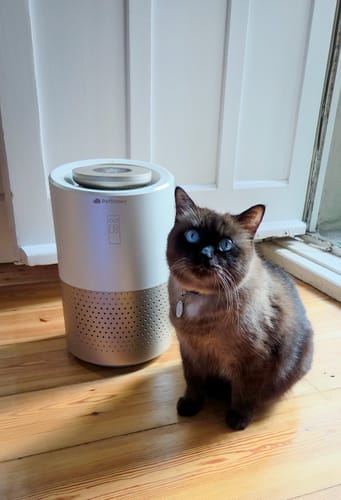 Customer photo review of Pet Air Purifier