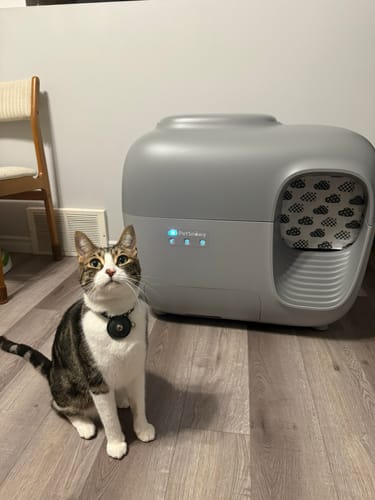 Customer photo review of Self-Cleaning Litter Box