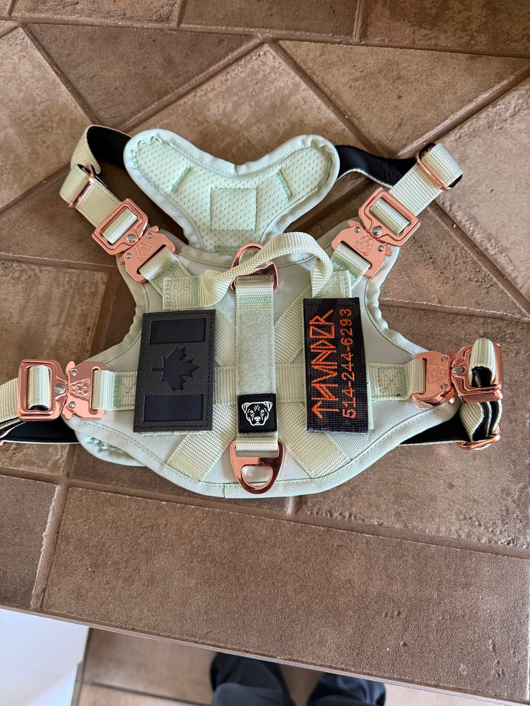 Customer photo review of HNTR 3.0 Dog Harness - Honeydew