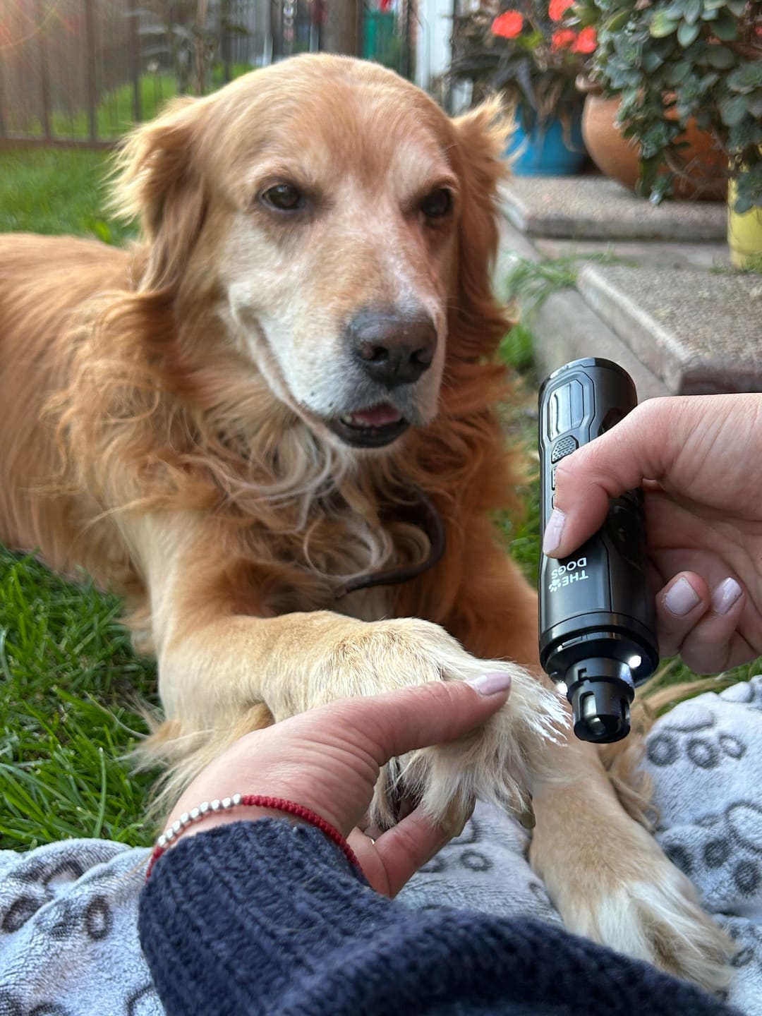 Customer photo review of THE DOGS NAILS — Limador Diamond Pro