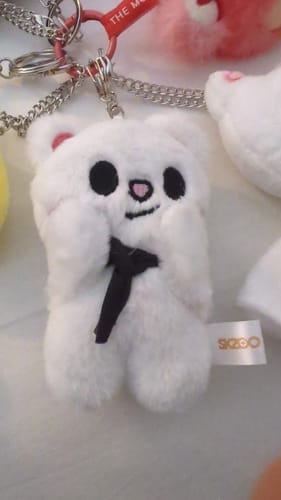 Customer photo review of Kpop Doll Magnetic Keychain