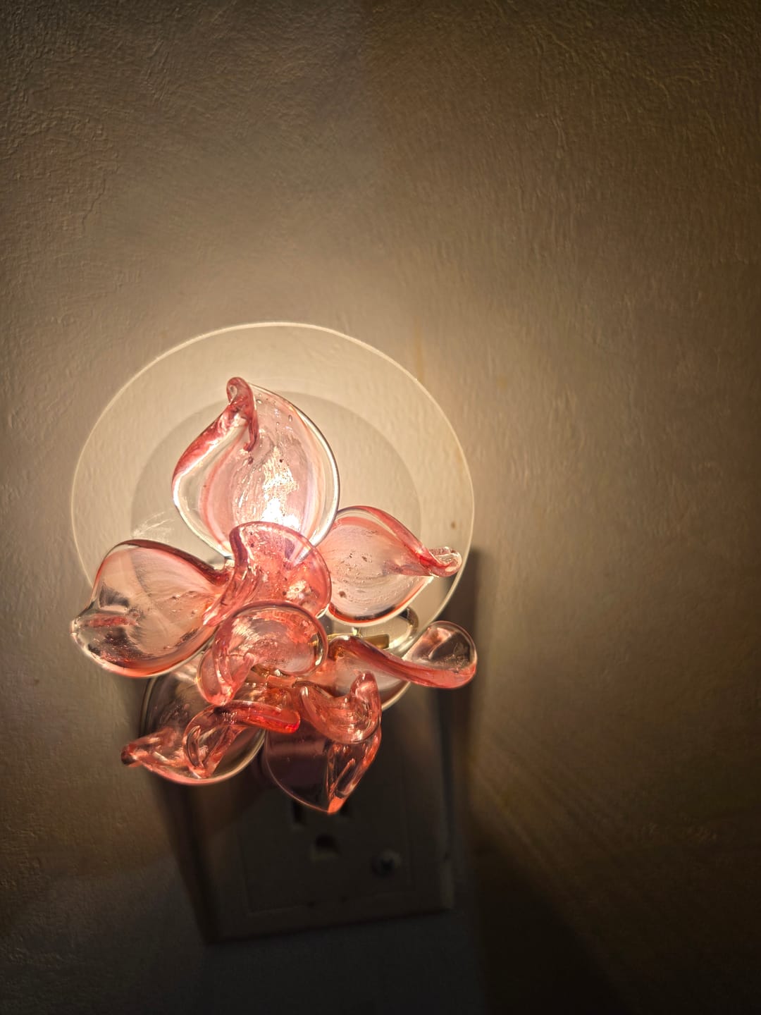 Customer photo review of Memorial Nightlight Flower with Cremation Ash