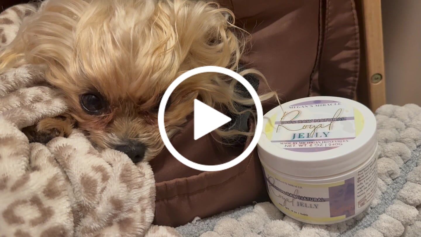 Customer video review of Honeybee Royal Jelly Raw