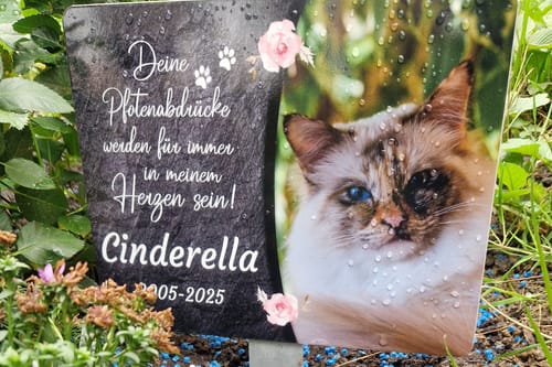 Customer photo review of Katzen Gedenktafel mit Foto & Spruch (UV- & Wetterfest)
