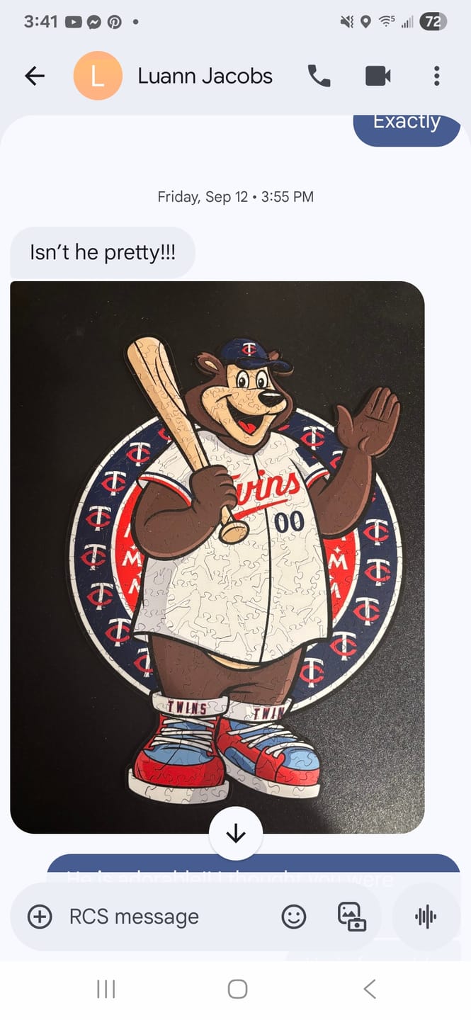 Customer photo review of Minnesota Twins™ Mascot - Wooden Puzzle