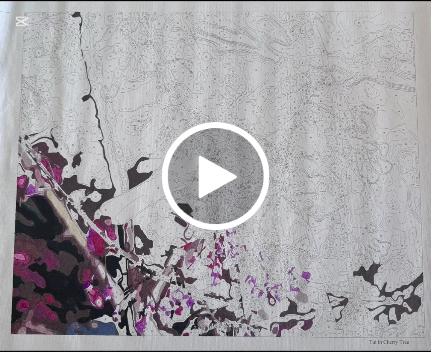 Customer video review of Tui in Cherry Tree