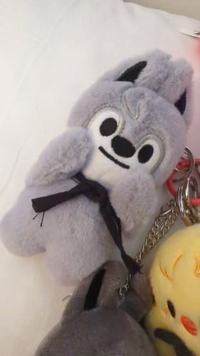 Customer photo review of Kpop Doll Magnetic Keychain