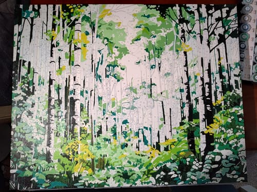 Customer photo review of Blue Forest Sky