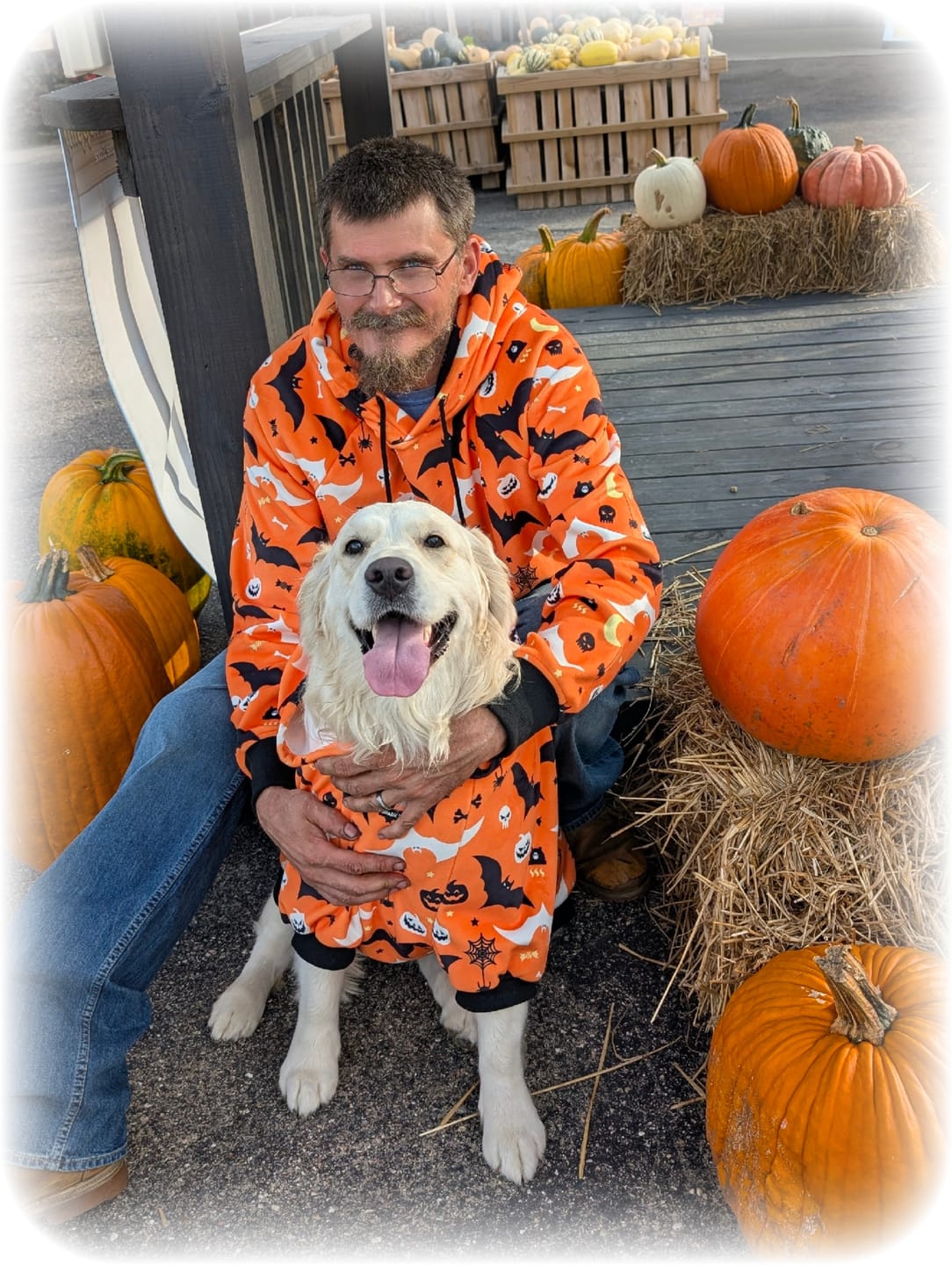 Customer photo review of Halloween Dog Hoodie - Orange